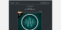 Screenshot of player interface