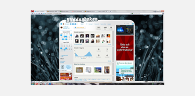 Main style screenshot