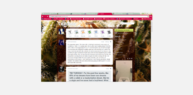 Main style screenshot