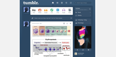 Main style screenshot