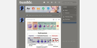 Main style screenshot