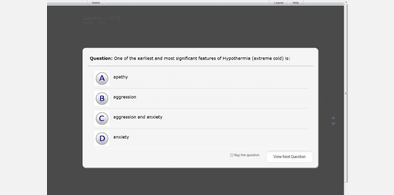 Main style screenshot