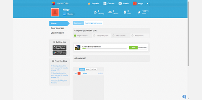 Main style screenshot