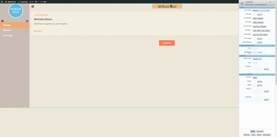 Main style screenshot