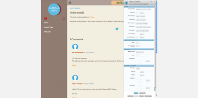 Main style screenshot