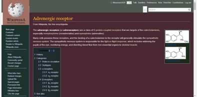 Main style screenshot