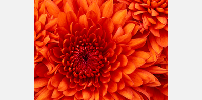 Main style screenshot