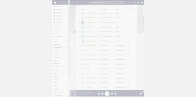 Main style screenshot