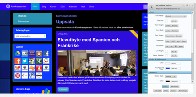 Main style screenshot
