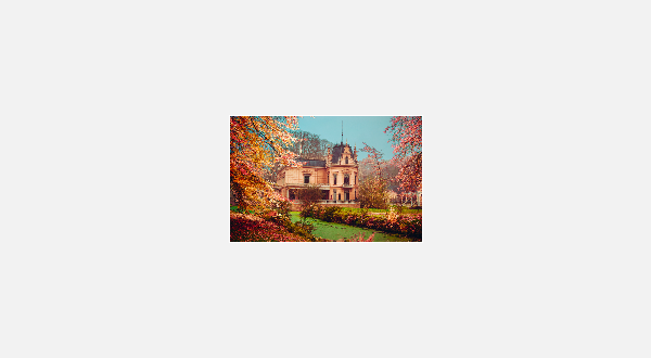 Le Petit Chateau