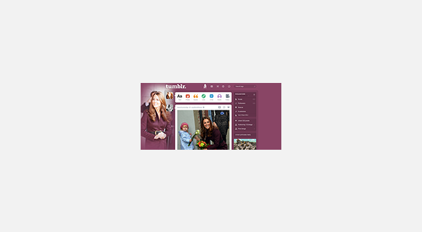 This is what your dashboard will look like.