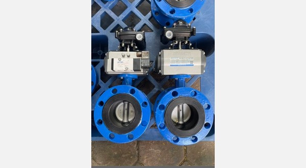 Image with the style