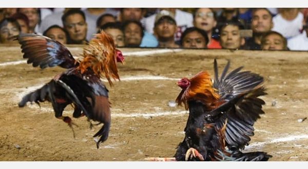 Image with the style